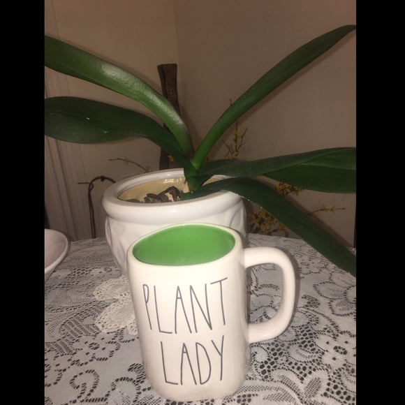 Rae Dunn Kitchen Plant Lady Mug Htf Green Inside Poshmark